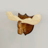 Moose Head Wall Hanger For Kids Bedroom Woodworking Plan